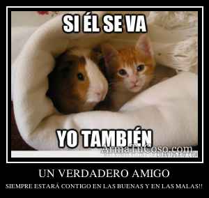 UN VERDADERO AMIGO