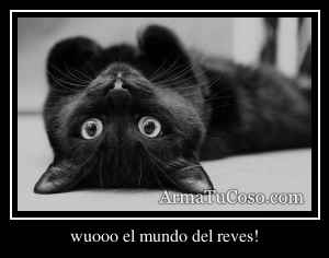 wuooo el mundo del reves!