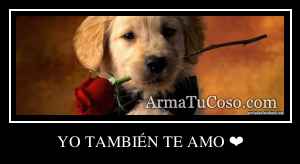YO TAMBIÉN TE AMO ❤